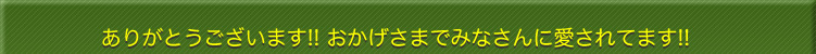 ありがとうございます!! おかげさまでみなさんに愛されてます!!